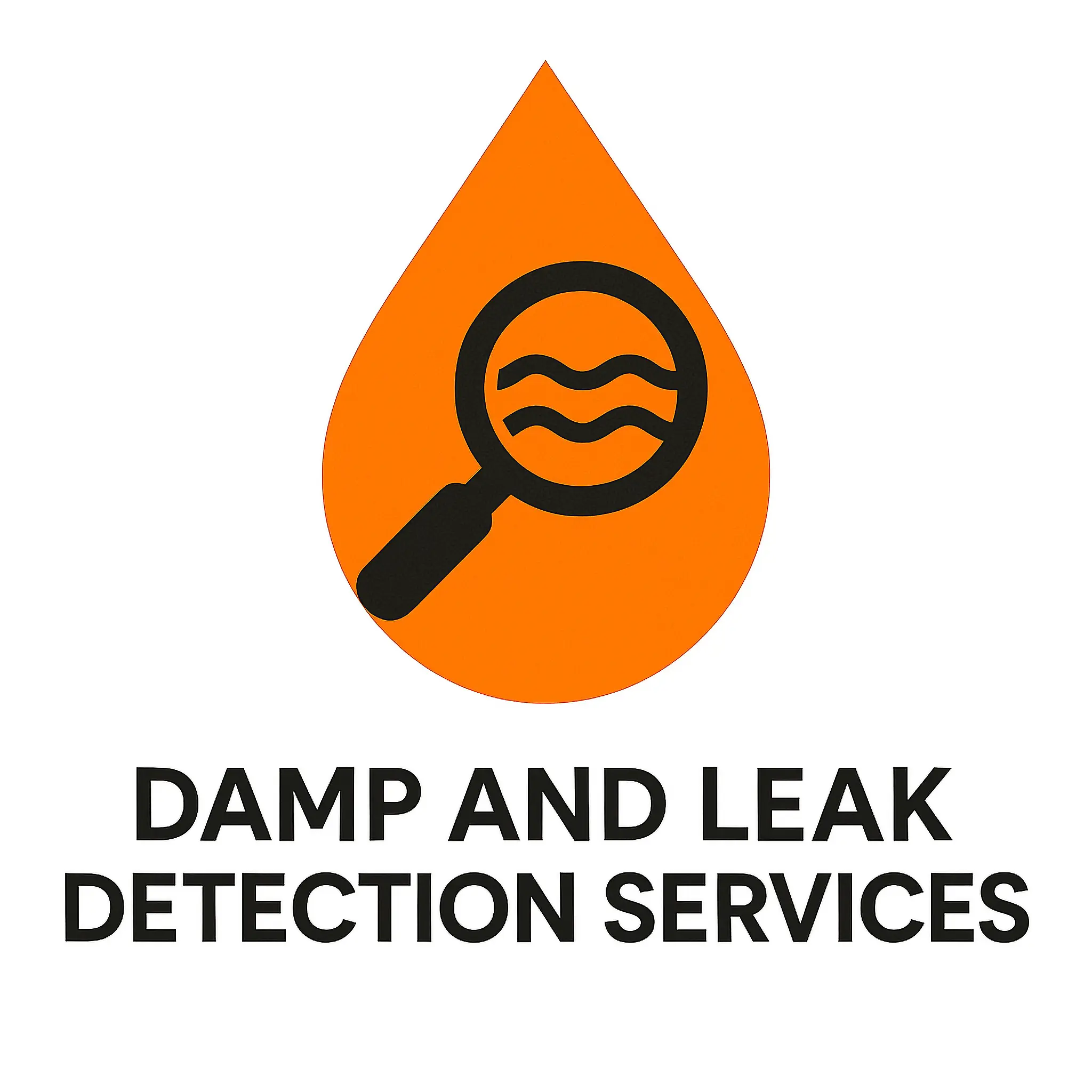 icon damp and leak detection